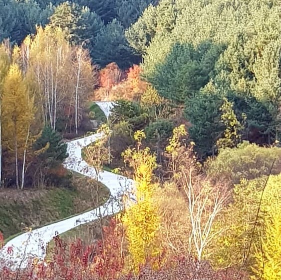 فندق Goodstay Daegwallyeongsanbang