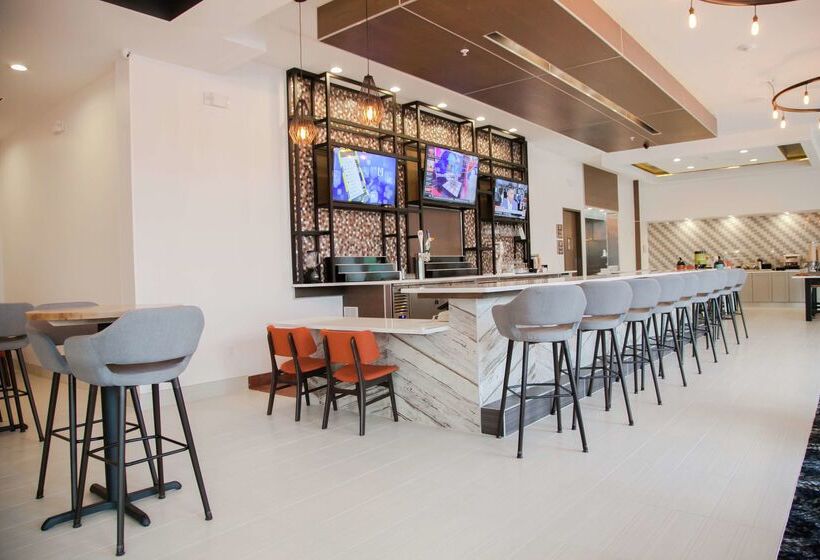 فندق Hilton Garden Inn Tampa Suncoast Parkway