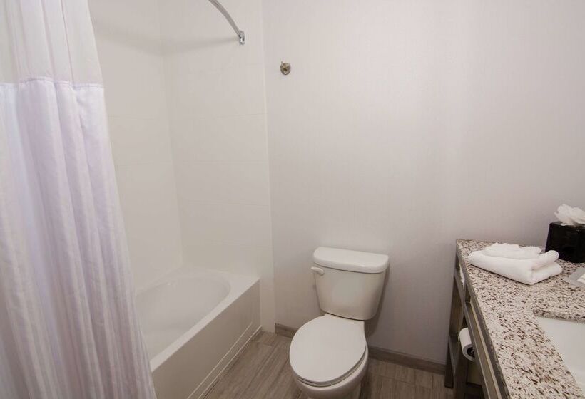 בית מלון כפרי Hilton Garden Inn Tampa Suncoast Parkway