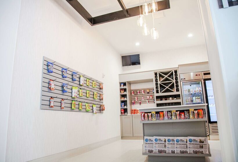 בית מלון כפרי Hilton Garden Inn Tampa Suncoast Parkway