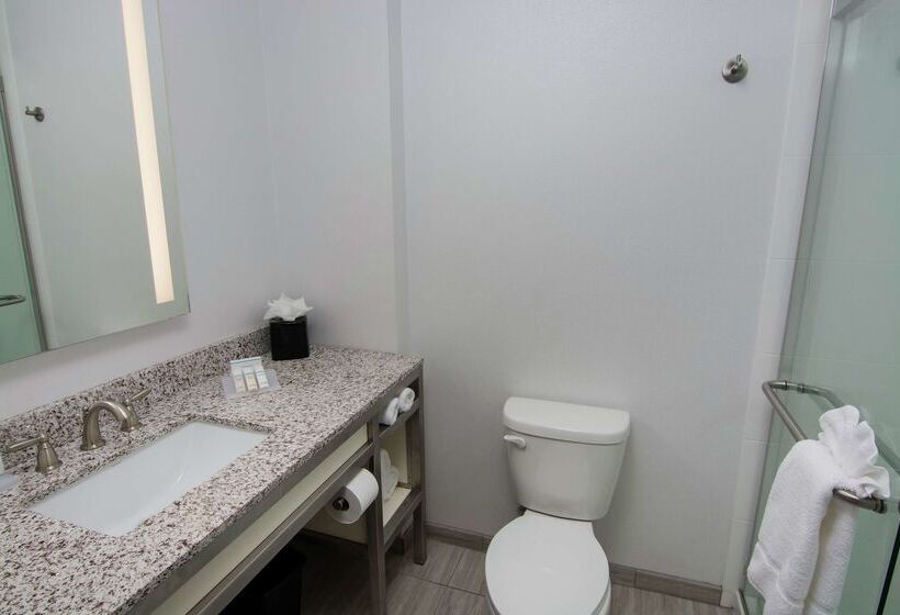 فندق Hilton Garden Inn Tampa Suncoast Parkway