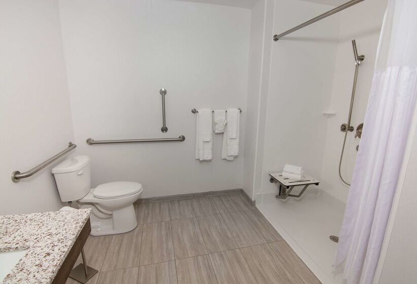 فندق Hilton Garden Inn Tampa Suncoast Parkway