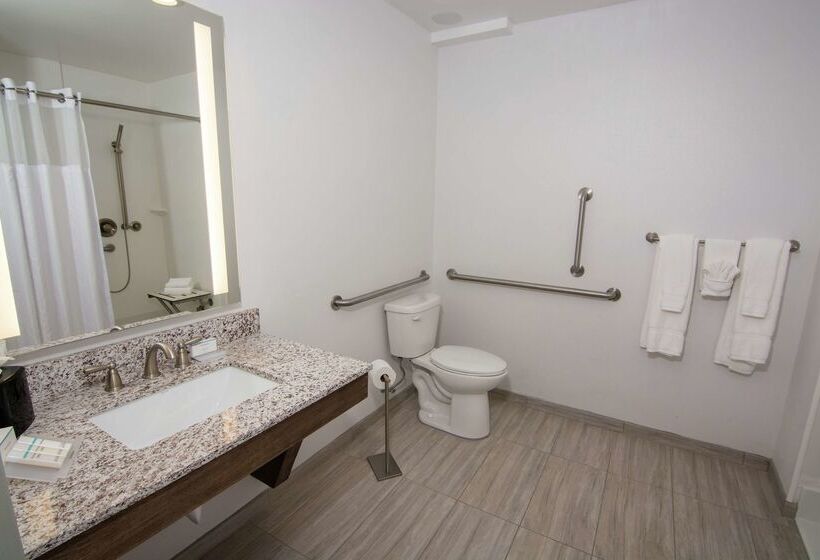 فندق Hilton Garden Inn Tampa Suncoast Parkway