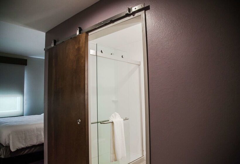 בית מלון כפרי Hilton Garden Inn Tampa Suncoast Parkway