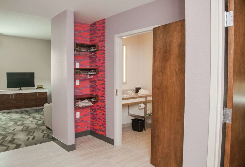 فندق Hilton Garden Inn Tampa Suncoast Parkway