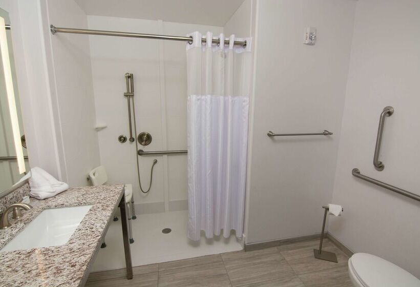 فندق Hilton Garden Inn Tampa Suncoast Parkway