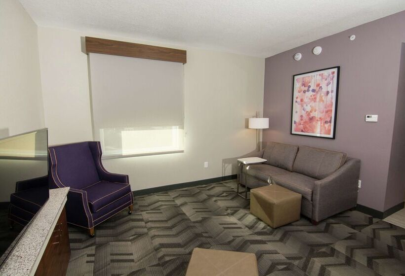 فندق Hilton Garden Inn Tampa Suncoast Parkway