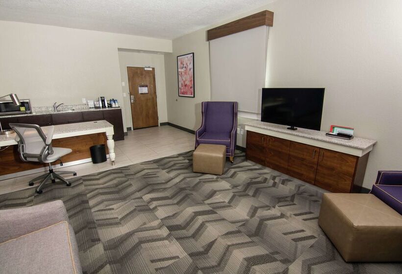 فندق Hilton Garden Inn Tampa Suncoast Parkway