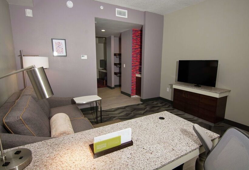 בית מלון כפרי Hilton Garden Inn Tampa Suncoast Parkway