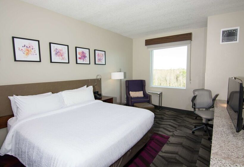 فندق Hilton Garden Inn Tampa Suncoast Parkway