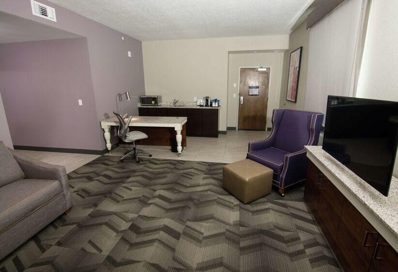 فندق Hilton Garden Inn Tampa Suncoast Parkway