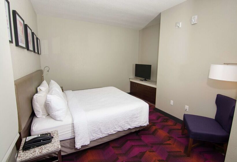 בית מלון כפרי Hilton Garden Inn Tampa Suncoast Parkway