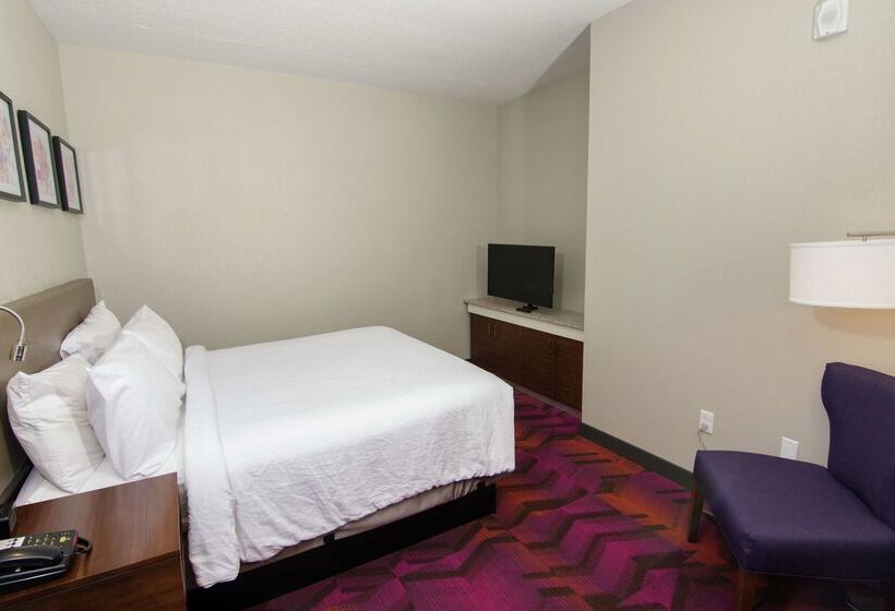 فندق Hilton Garden Inn Tampa Suncoast Parkway