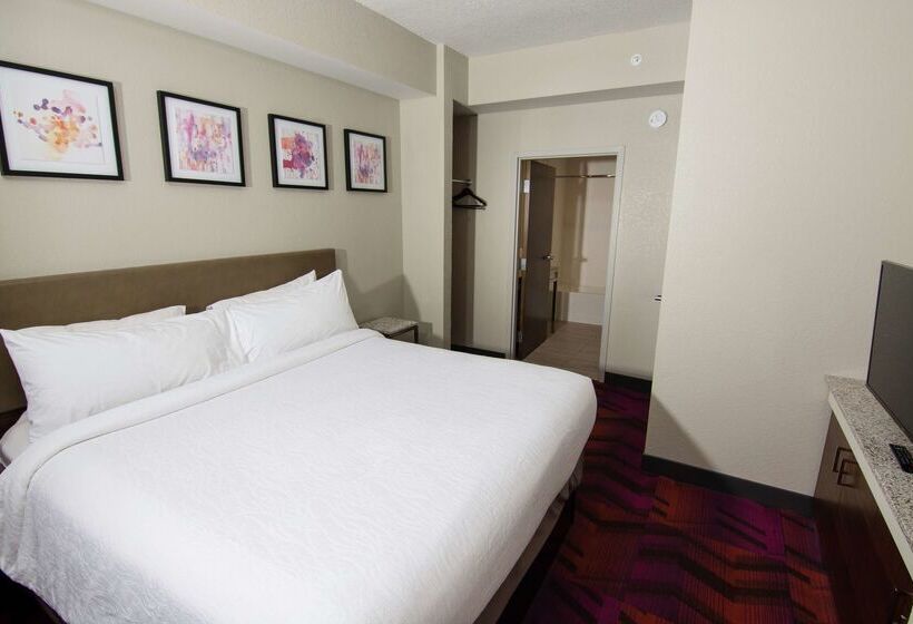 فندق Hilton Garden Inn Tampa Suncoast Parkway