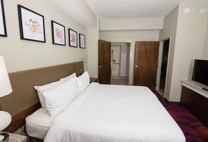 בית מלון כפרי Hilton Garden Inn Tampa Suncoast Parkway