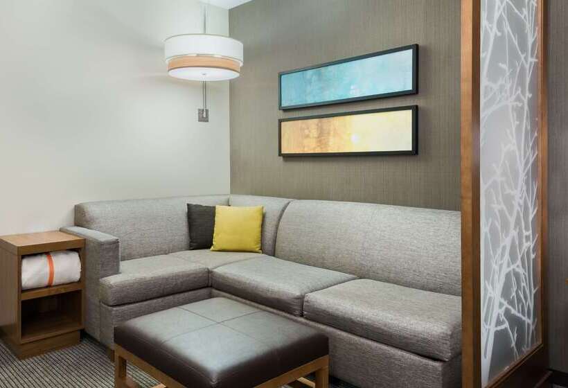 ホテル Hyatt Place Austin/round Rock