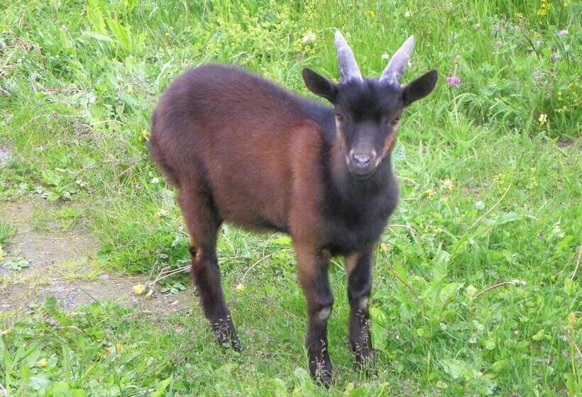 فندق Les Granges