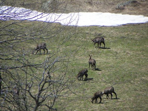 فندق Les Granges