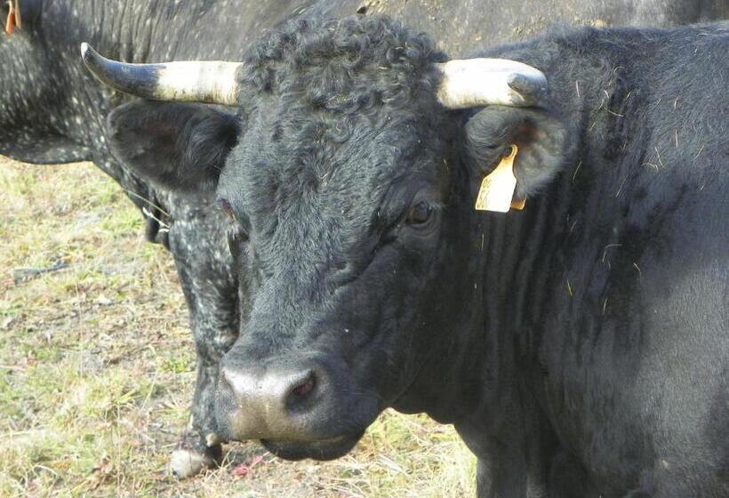 فندق Les Granges