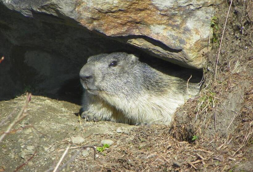 فندق Les Granges