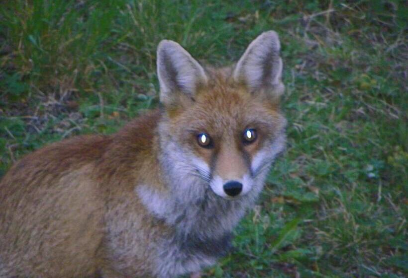 فندق Les Granges