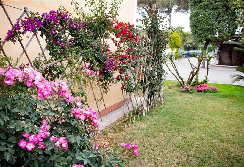 Отель Mediterraneo