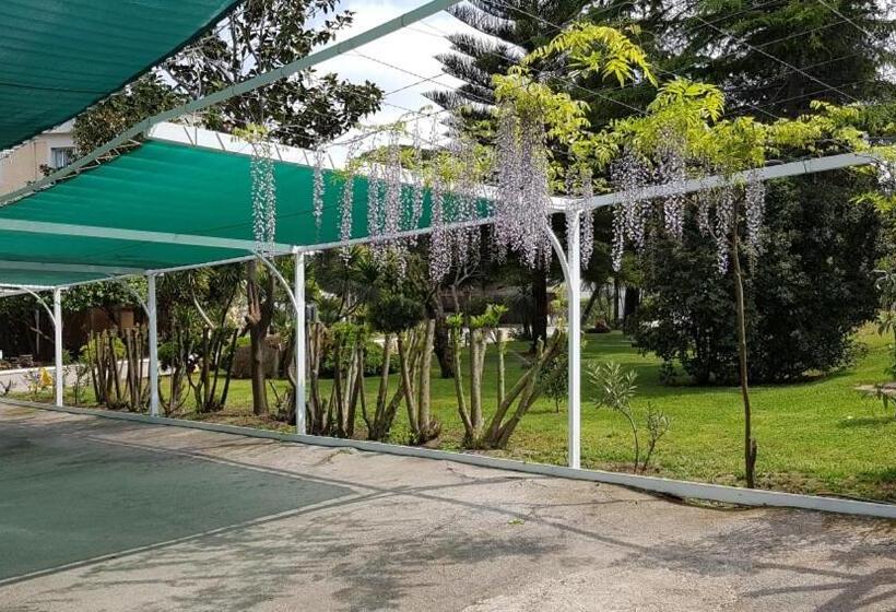 Отель Mediterraneo