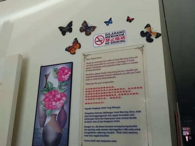 فندق Morning Glory