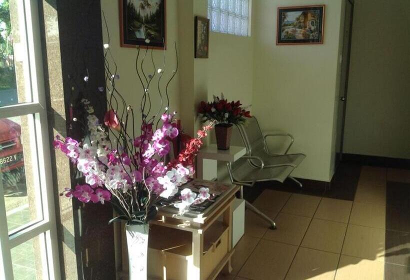 فندق Morning Glory