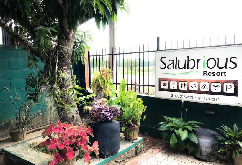 בית מלון כפרי Salubrious Resort
