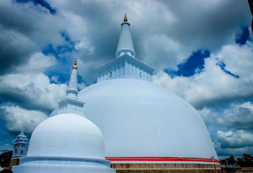 בית מלון כפרי Salubrious Resort