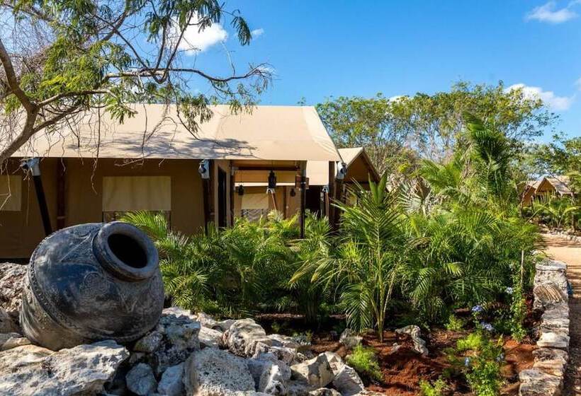 酒店 Serenity Authentic Glamping Tulum