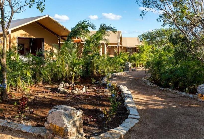 酒店 Serenity Authentic Glamping Tulum