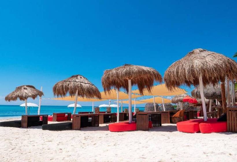 酒店 Serenity Authentic Glamping Tulum