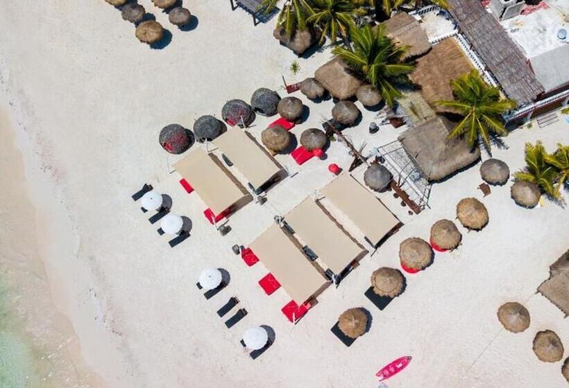 酒店 Serenity Authentic Glamping Tulum