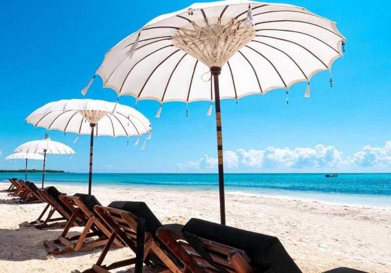 酒店 Serenity Authentic Glamping Tulum