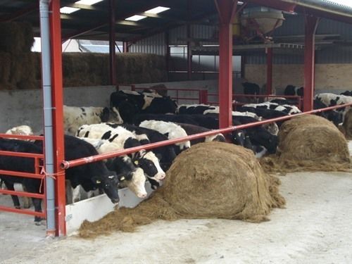 酒店 Tyddyn Chambers B&b