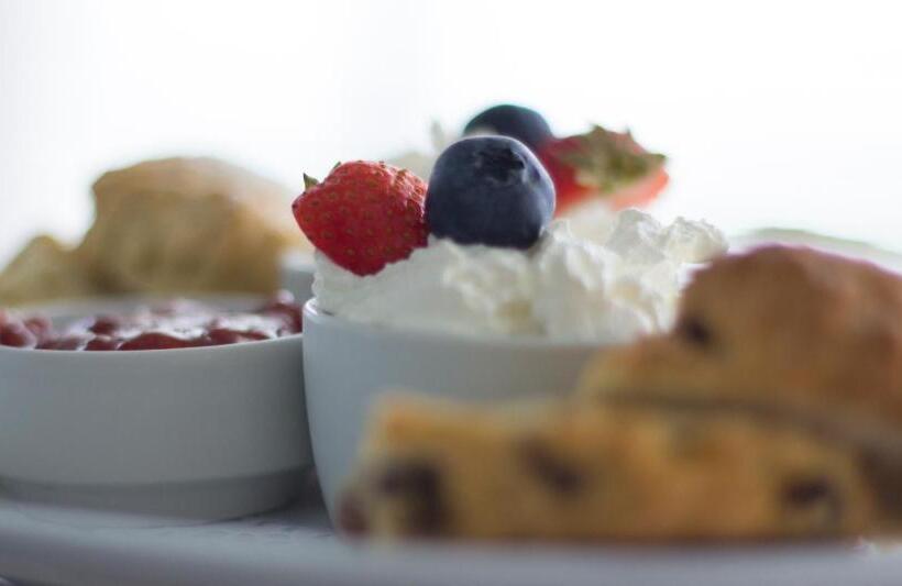 فندق The White Lodge