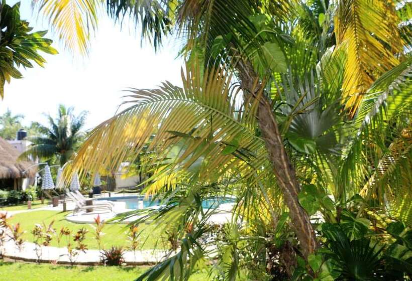 Отель Wish Tulum