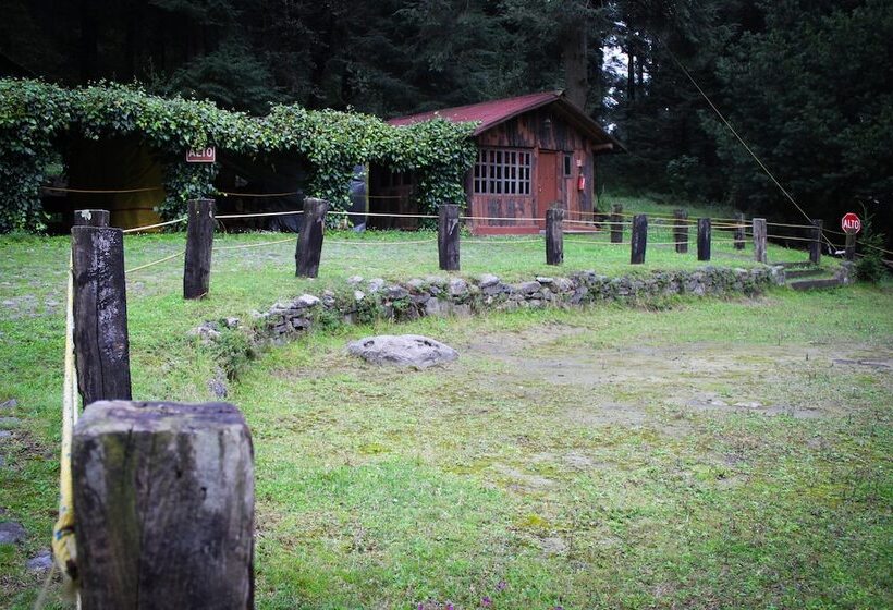 Los Vagones Cabañas Restaurante Bar