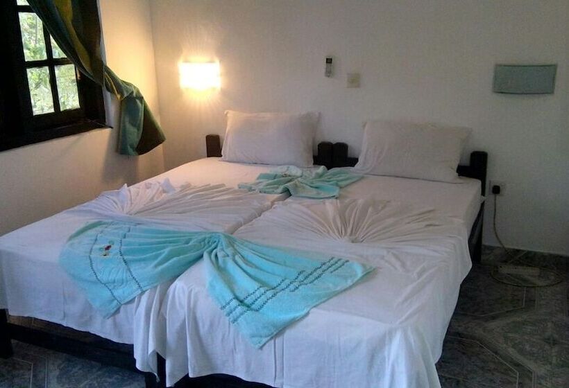 Пансион Ancient Villa