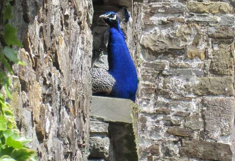 ペンション Glynhir Mansion