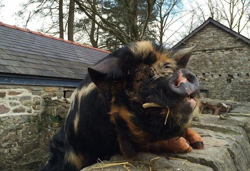 ペンション Glynhir Mansion