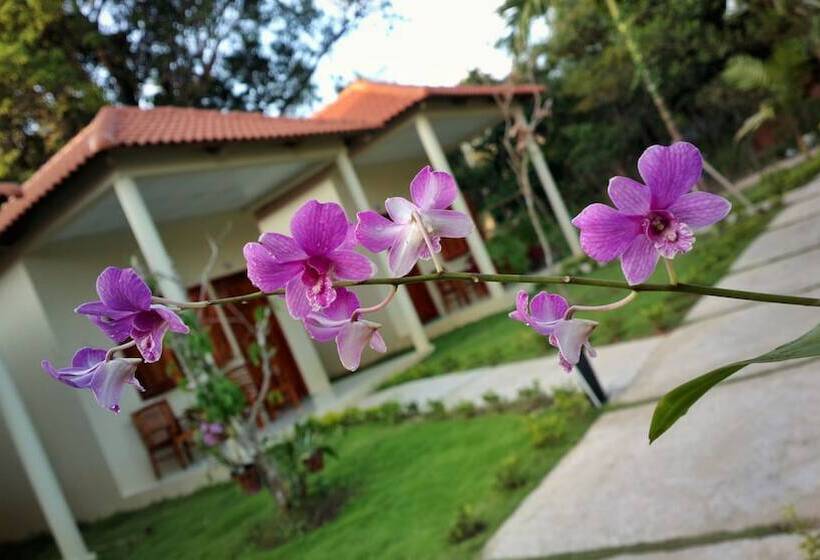 پانسیون Highland Bungalow