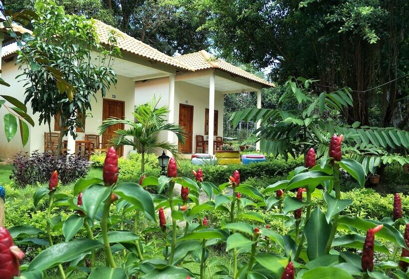 پانسیون Highland Bungalow