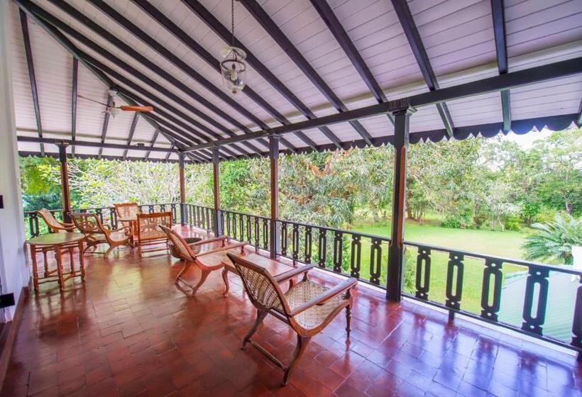 膳宿费 Horathapola Estate