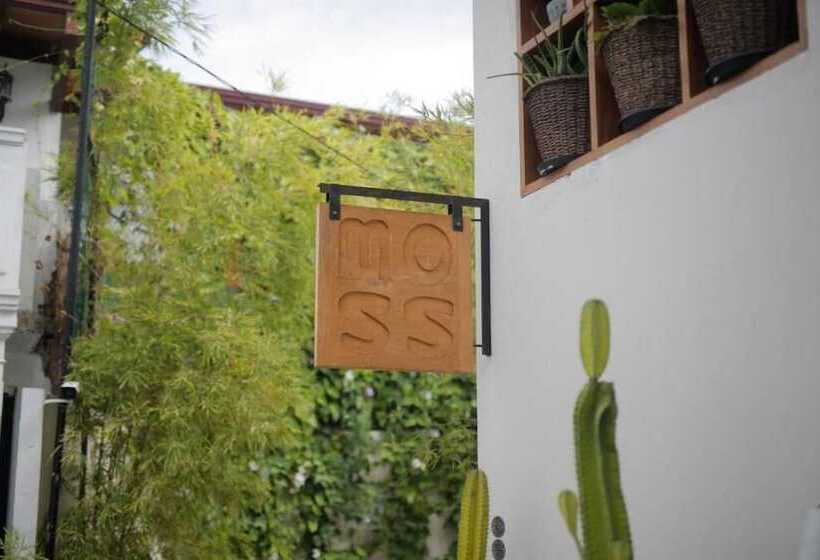 ペンション Moss Colombo