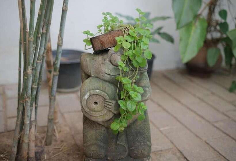 ペンション Moss Colombo