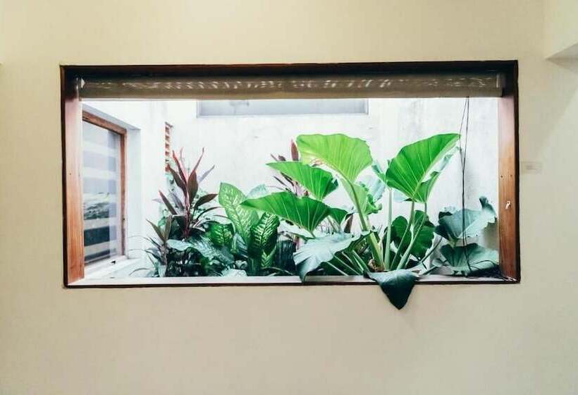 ペンション Moss Colombo