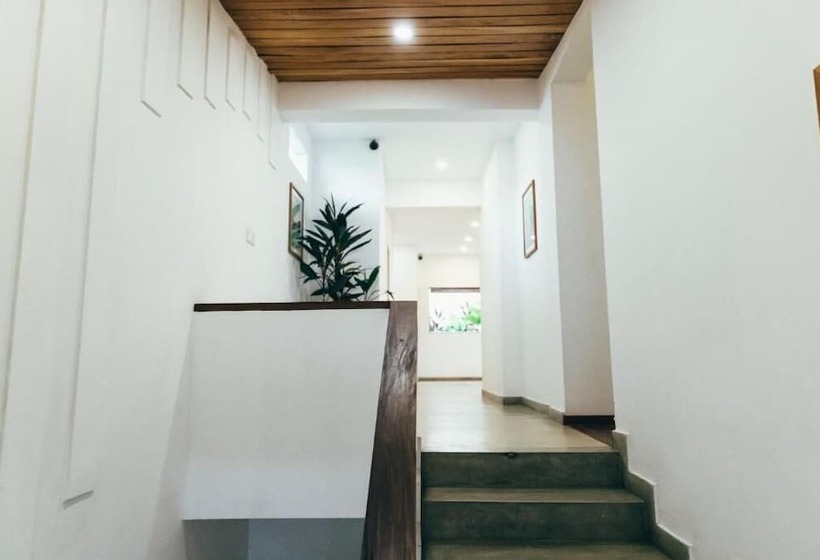 ペンション Moss Colombo